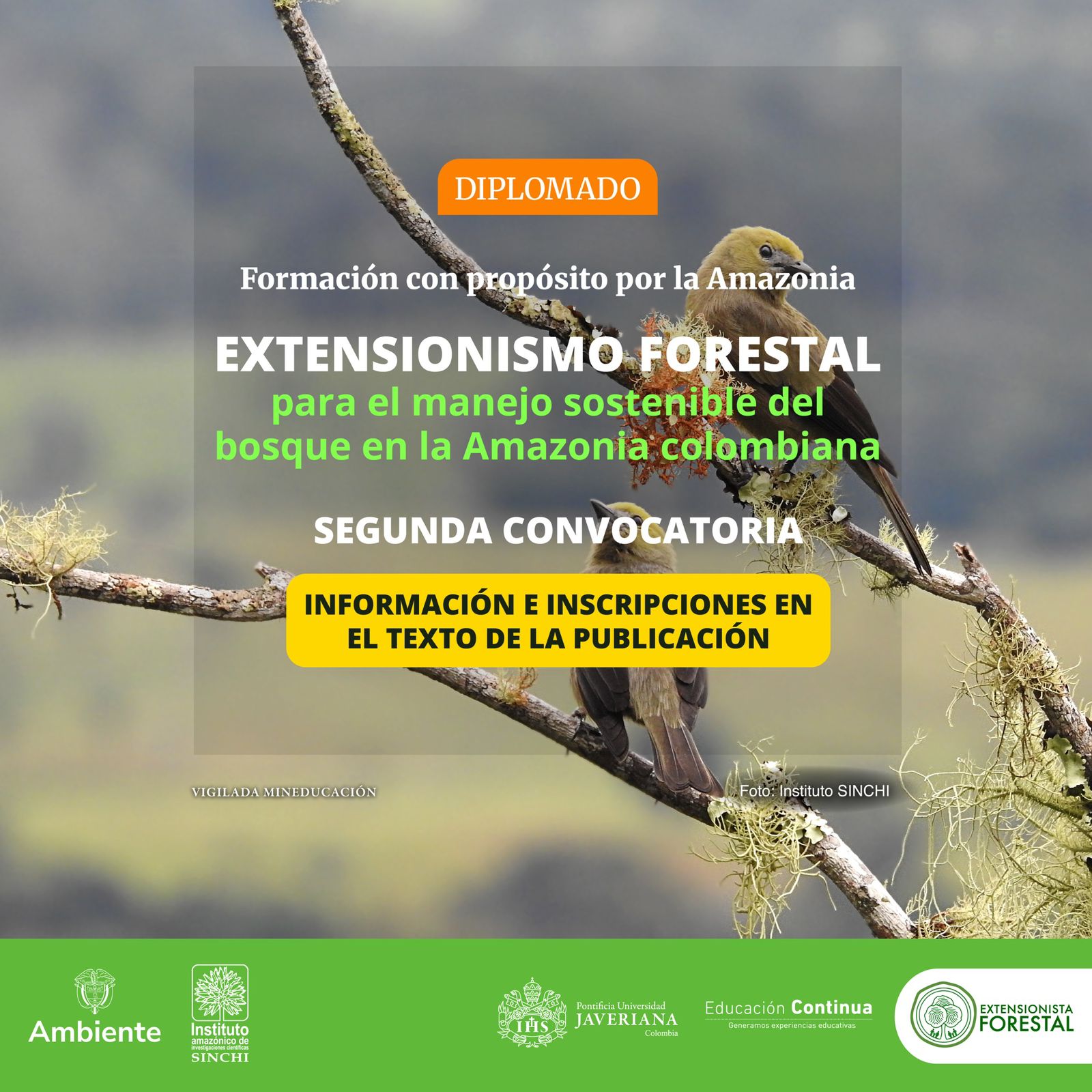 Instituto SINCHI y Universidad Javeriana abren segunda convocatoria del Diplomado en Extensionismo Forestal en la Amazonia 2