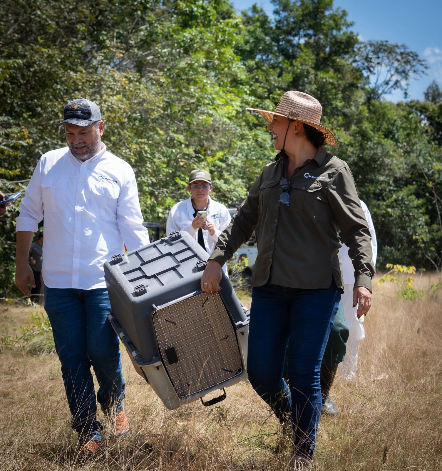 120 animales silvestres regresan a la libertad en el Meta tras ser rescatados del tráfico ilegal 3