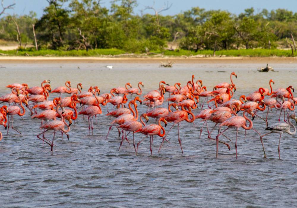 Destinos para vacaciones de fin de año en Colombia 5