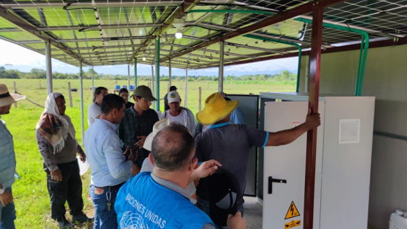 Energía solar y ganadería impulsan proyectos de firmantes de paz en el Meta 2 Energía solar y ganadería impulsan proyectos de firmantes de paz en el Meta 2