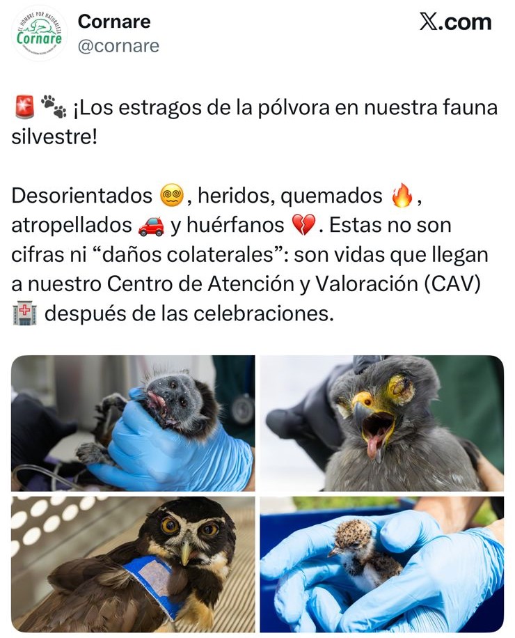 Diciembre dejó una lección pendiente sobre convivencia con la fauna 2 Diciembre dejó una lección pendiente sobre convivencia con la fauna 2