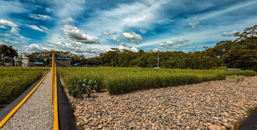 Bioagrícola patenta sistema para tratar aguas residuales del relleno 5
