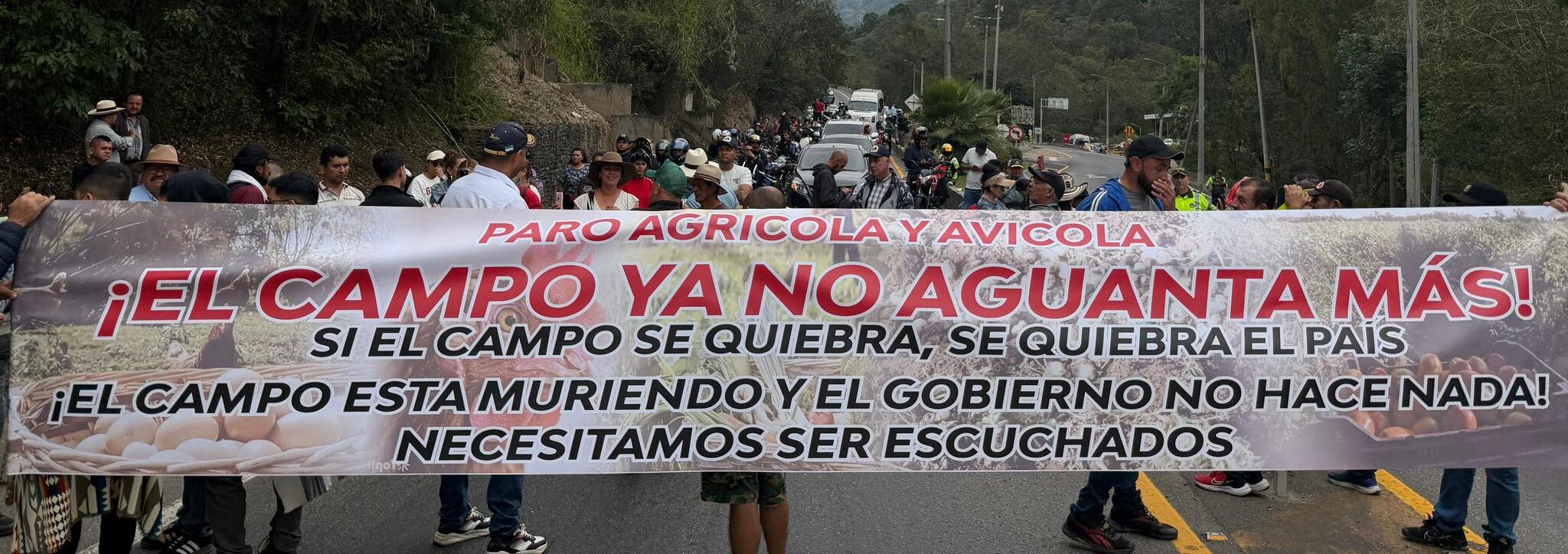 Productores avícolas advierten quiebra del sector tras protesta en la vía al Llano 3