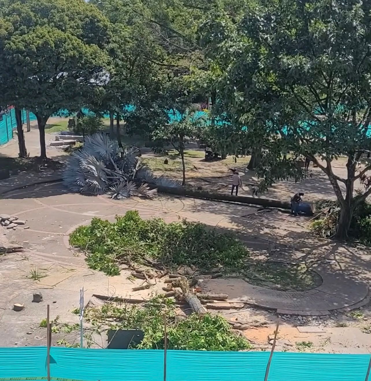 Se define el futuro de los vendedores en el Parque del Hacha 2