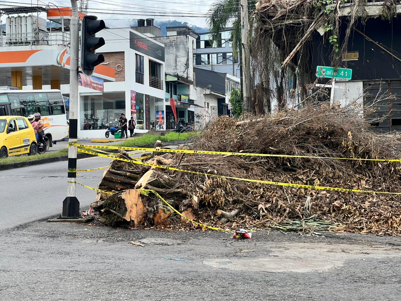 Árboles: la infraestructura climática que pierde Villavicencio 4 Árboles: la infraestructura climática que pierde Villavicencio 4