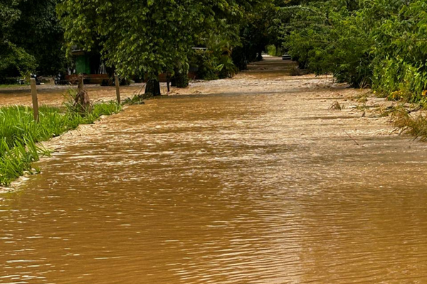 Crecientes súbitas dejan cientos de familias afectadas en El Castillo (Meta) 3