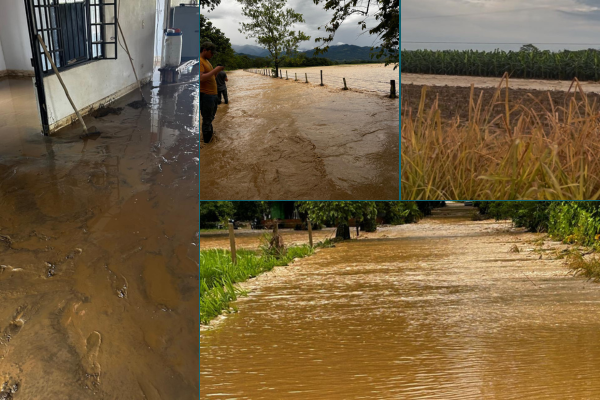 Crecientes súbitas dejan cientos de familias afectadas en El Castillo (Meta) 2