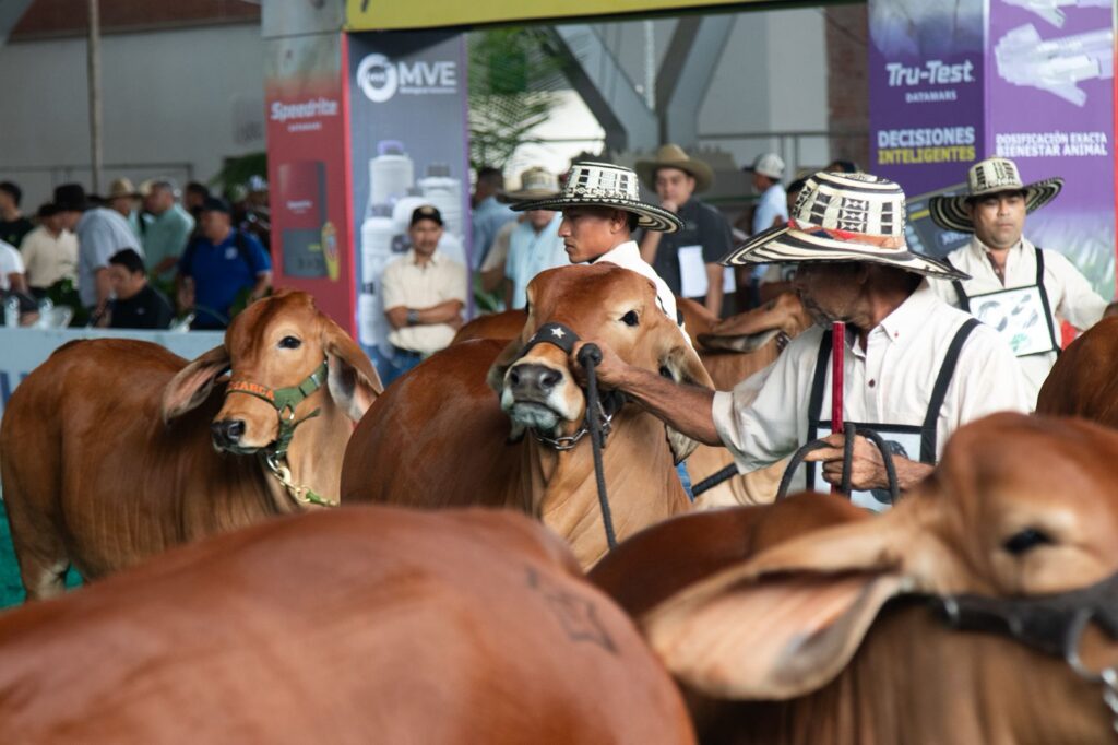 Más de $100.000 millones movió Expomalocas 2026 en el Meta 2