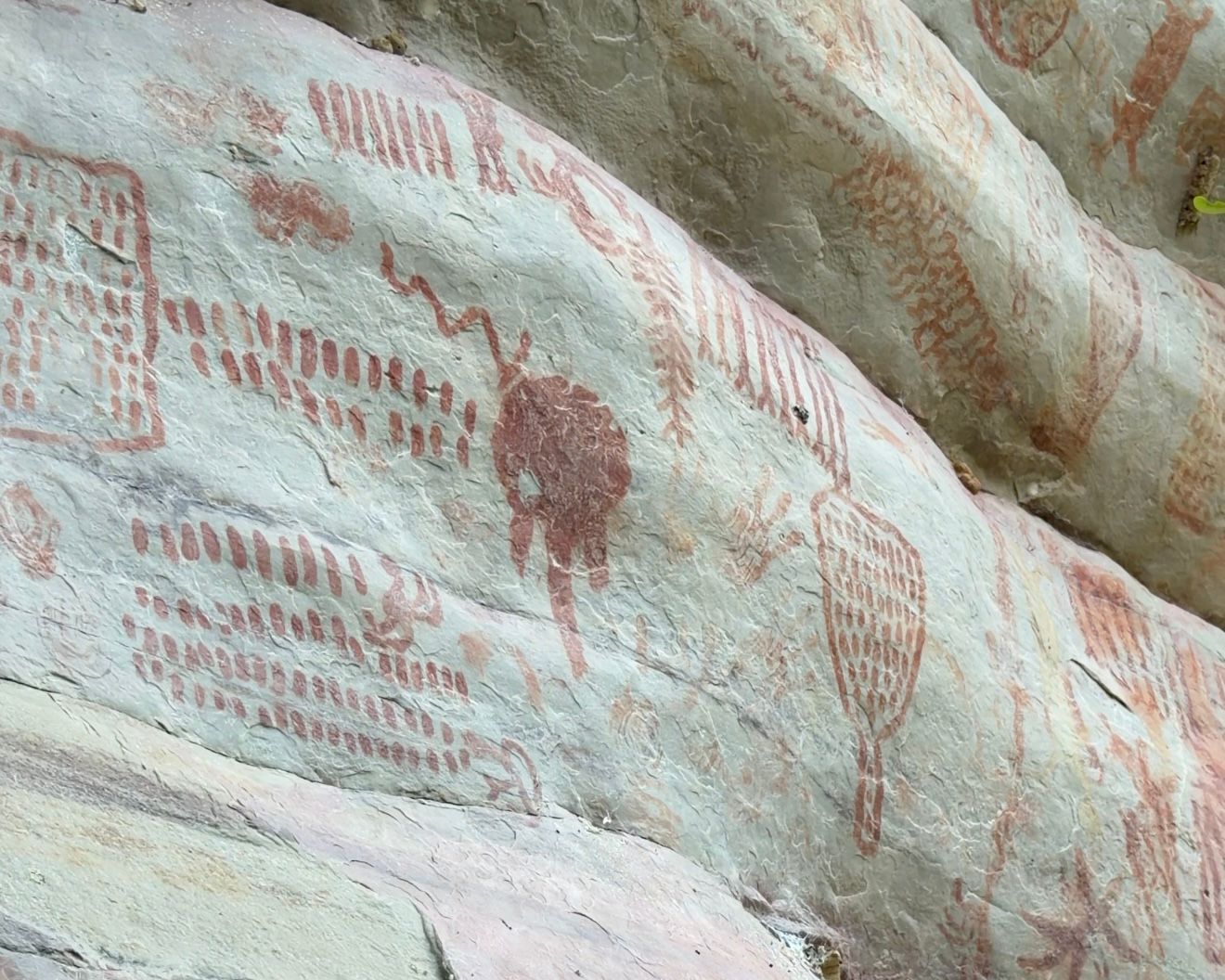 Histórico hallazgo en el Meta: Pictogramas de 19.000 años en Puerto Concordia