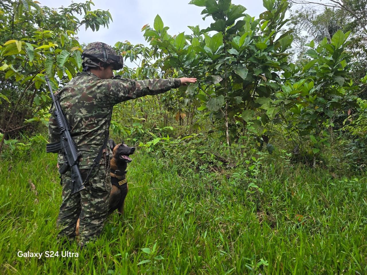 Ejército neutraliza campo minado en zona rural de Miraflores, Guaviare 1