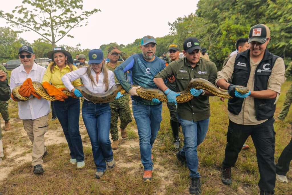 Más de 100 animales silvestres regresan a la naturaleza tras ser rescatados del tráfico ilegal en el Meta 2