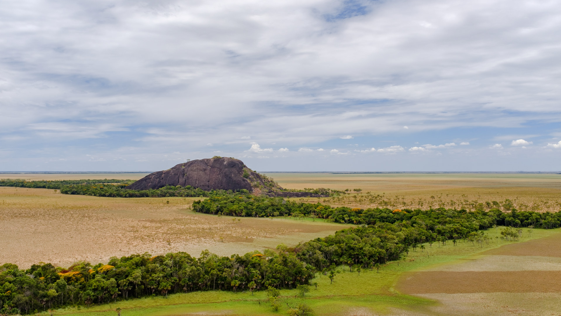 Centro de Pensamiento para transformar la Orinoquia | Opinión 1