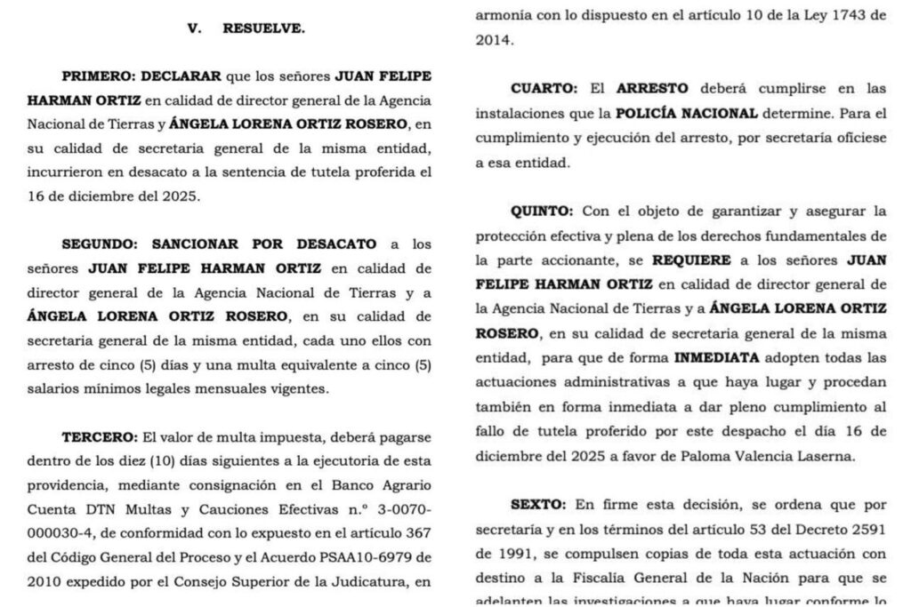 Juzgado ordena arresto contra Felipe Harman por desacato a tutela presentada por Paloma Valencia 3