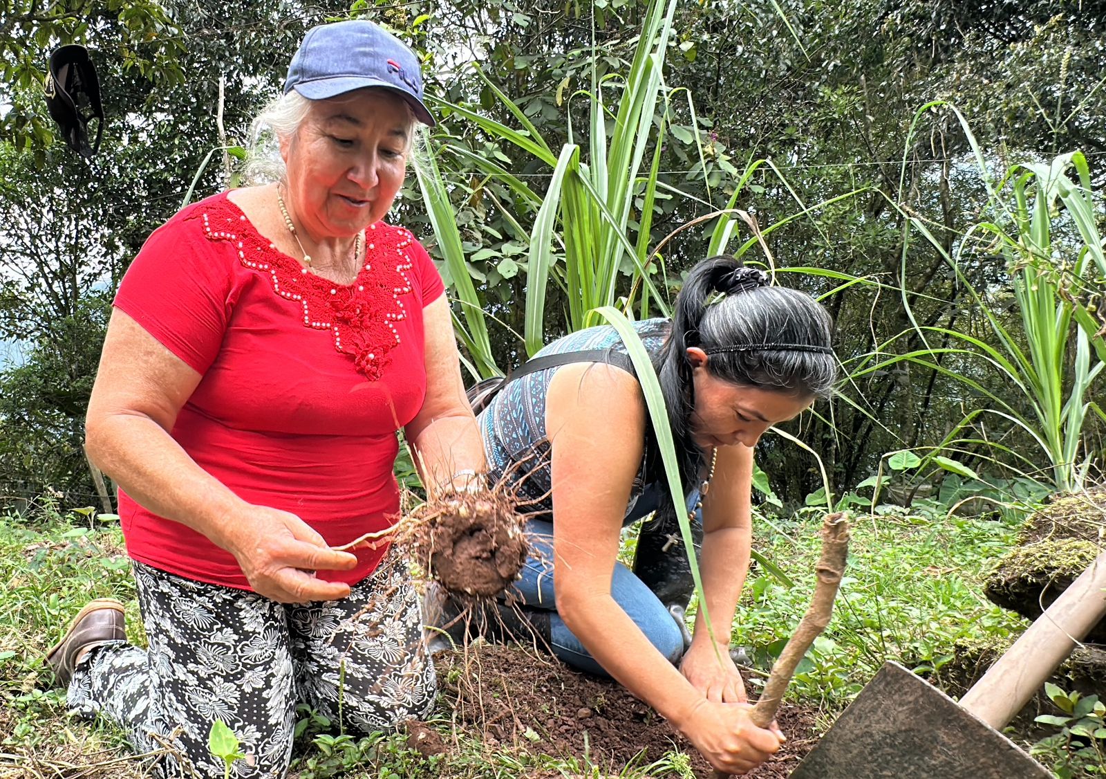 Mujeres de El Calvario fortalecen producción de alimentos orgánicos con apoyo de Cormacarena 1
