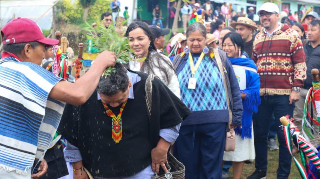 Más de 275.931 hectáreas de tierra han sido restituidas en Cauca 2