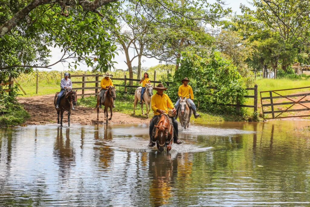 Meta recibió 47% más vehículos y dejó $99 mil millones en turismo