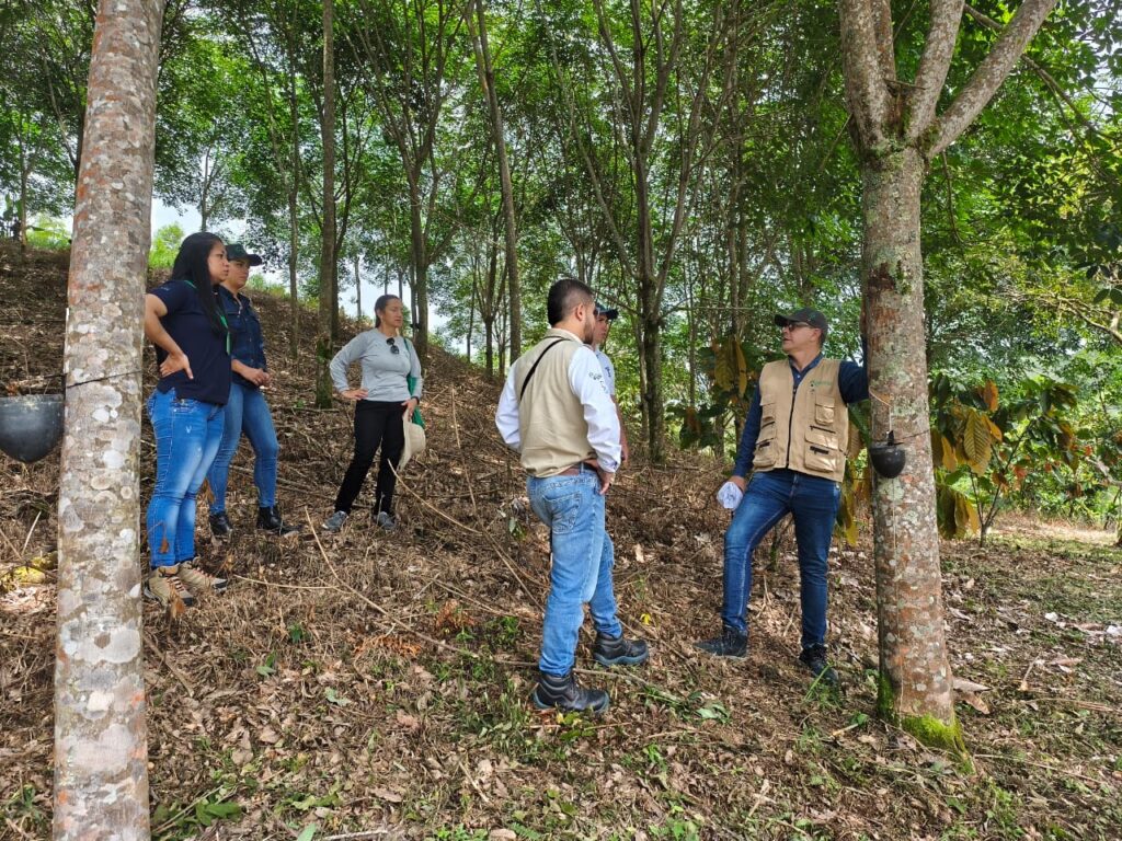 El Meta, entre la alta producción y baja exportación 3