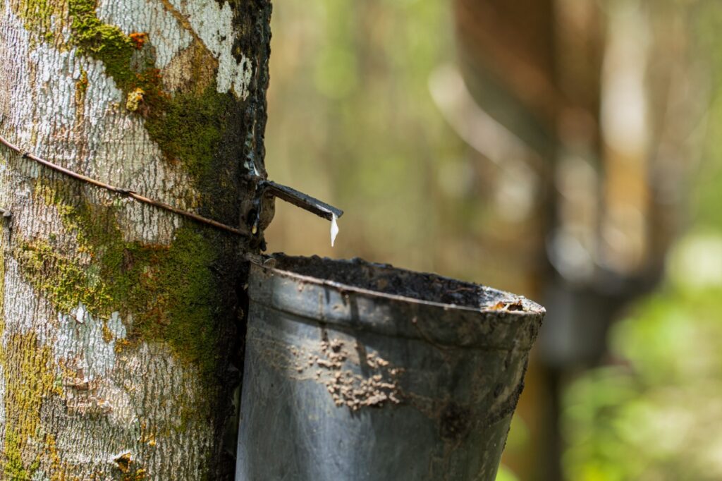 El Meta, entre la alta producción y baja exportación 2