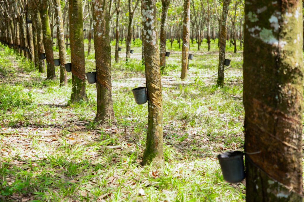 El Meta, entre la alta producción y baja exportación