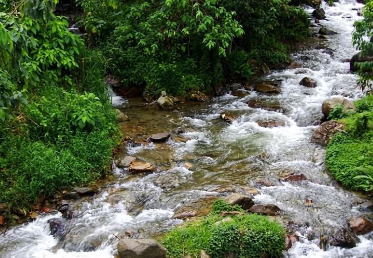 Corte Constitucional fija reglas sobre rondas hídricas y ordenamiento territorial en Colombia