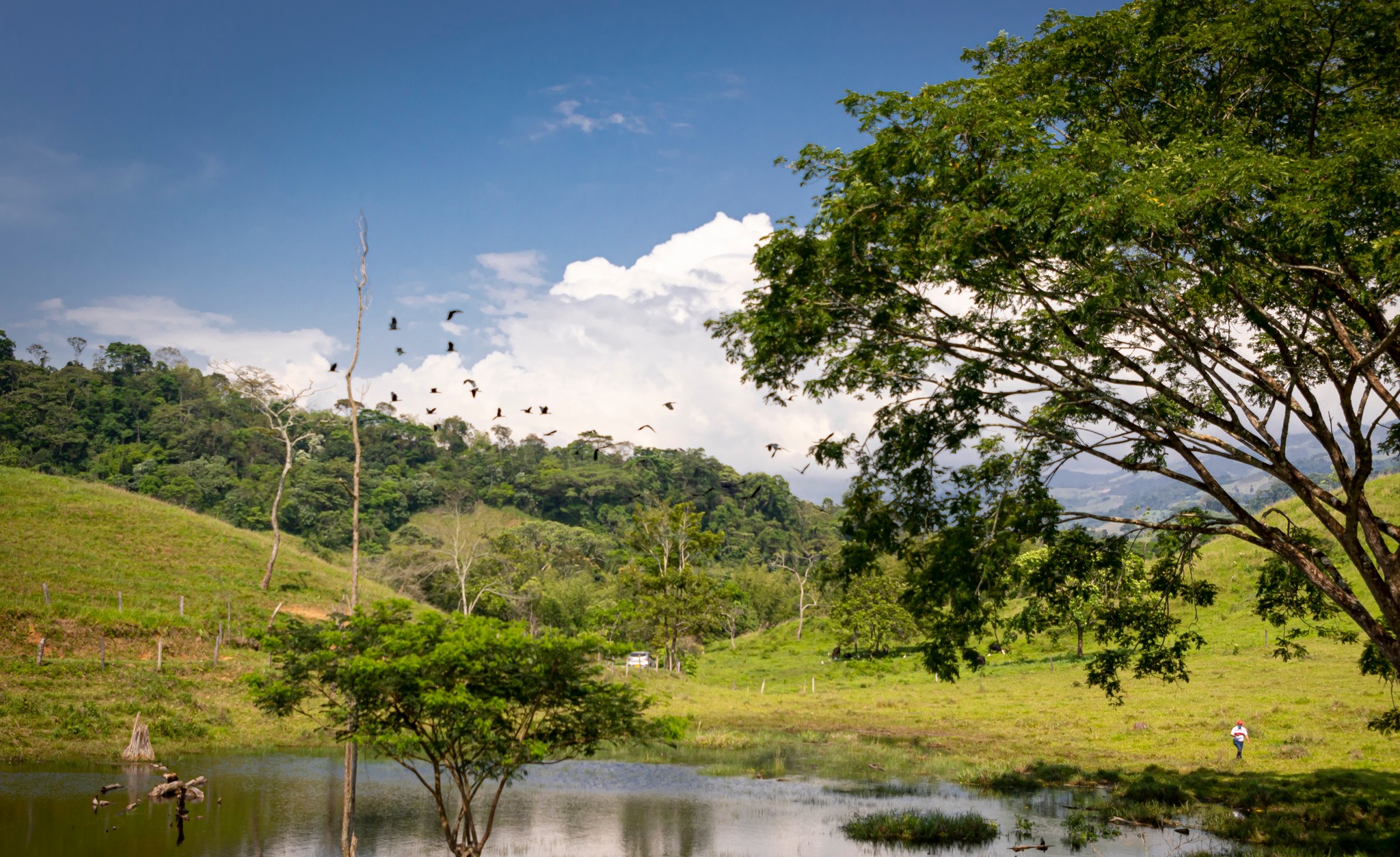 La realidad energética que el próximo presidente no podrá evadir | Análisis