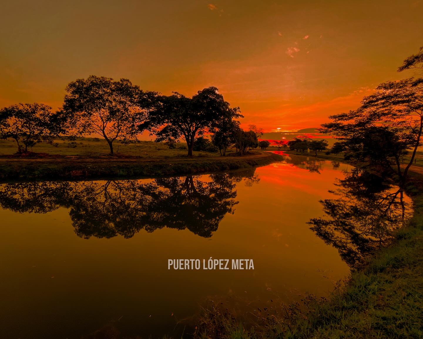 La nueva economía de Colombia se juega en la Orinoquia / Análisis 1