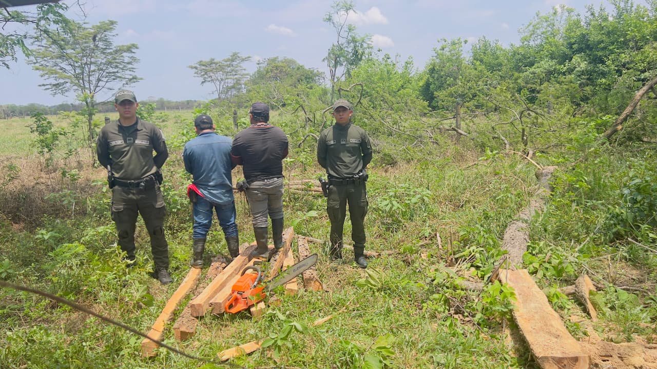 Capturan a dos hombres por tala ilegal en el Meta 1
