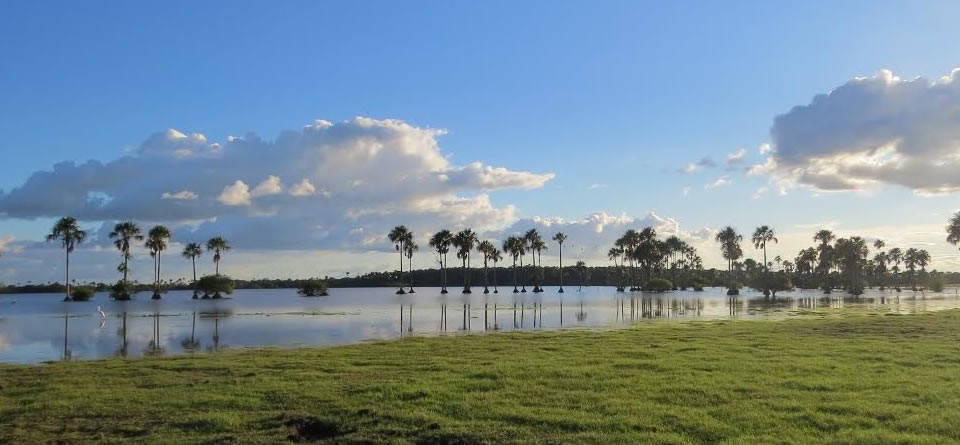 Autonomía regional: Expertos explican los retos de la descentralización en el Meta