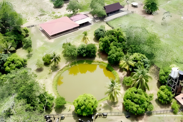 Golpe a las AUC: Fiscalía afecta bienes en el Meta y otras zonas por $65.000 millones 1