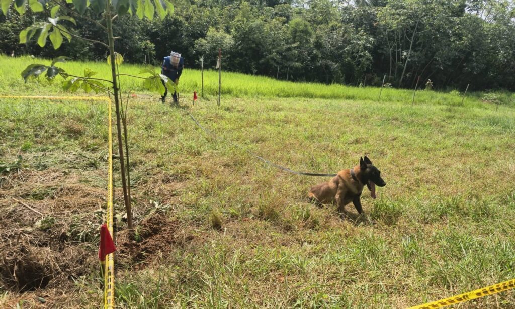Ejército destruyó cinco artefactos explosivos en el Meta: uno estaba a 400 metros de una escuela rural 2 Ejército destruyó cinco artefactos explosivos en el Meta: uno estaba a 400 metros de una escuela rural 2
