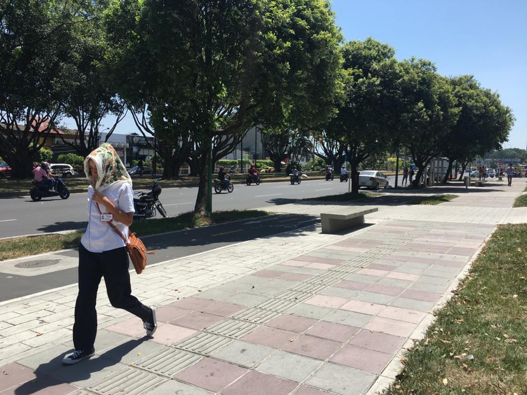La temporada seca que se avecina en la Orinoquia 2 La temporada seca que se avecina en la Orinoquia 2