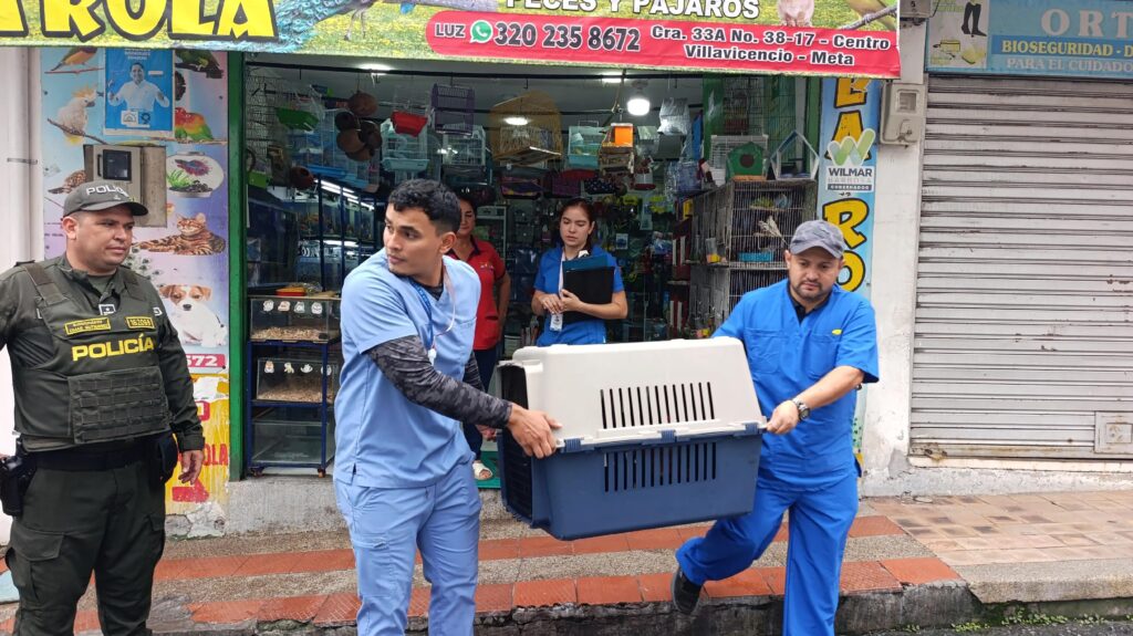 Autoridades ponen bajo la lupa venta de animales en Villavicencio: 14 animales incautados 2