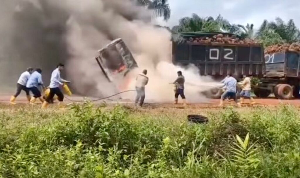 Autoridades investigan ataque e incineración de vehículo cargado con fruto de palma en Puerto Rico, Meta 2