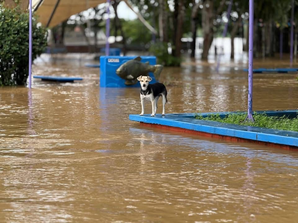 Inundaciones, daños y alertas en varios municipios