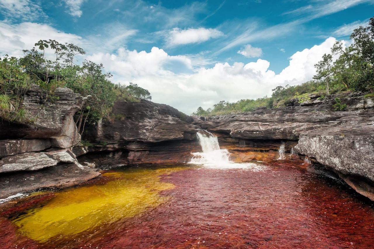 El río de los cinco colores despierta: inicia temporada en Caño Cristales 1