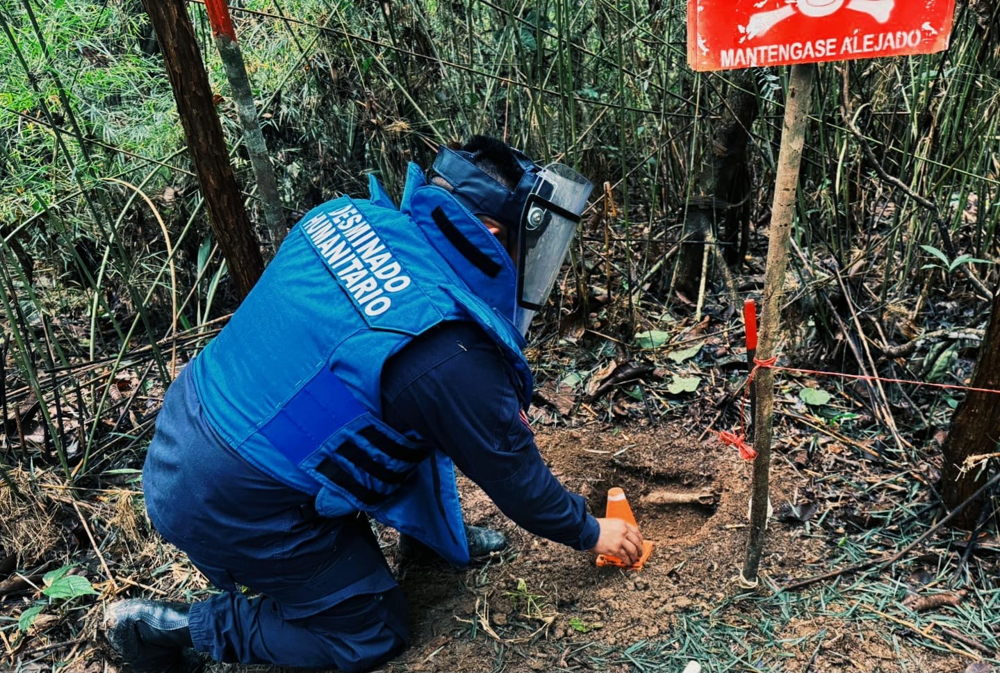 Ejército destruyó cinco artefactos explosivos en el Meta: uno estaba a 400 metros de una escuela rural