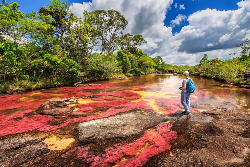 Caño Cristales impulsa la economía de La Macarena: más de 2.600 familias viven del turismo sostenible