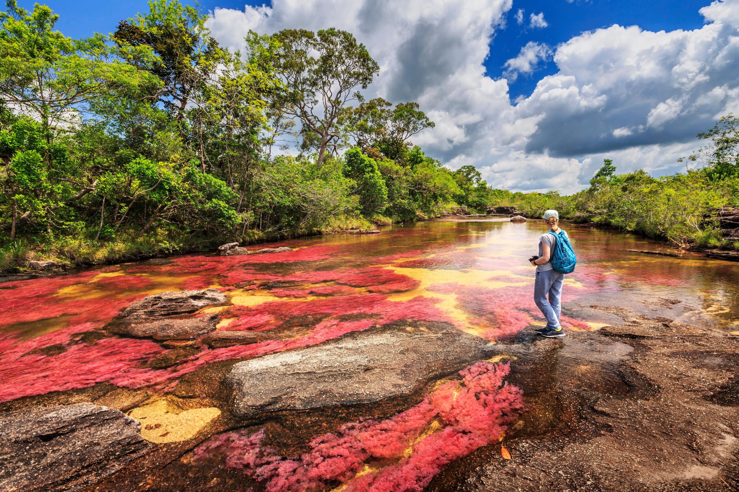 Caño Cristales impulsa la economía de La Macarena: más de 2.600 familias viven del turismo sostenible