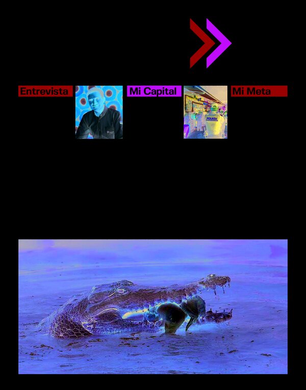 Preview Edición 549