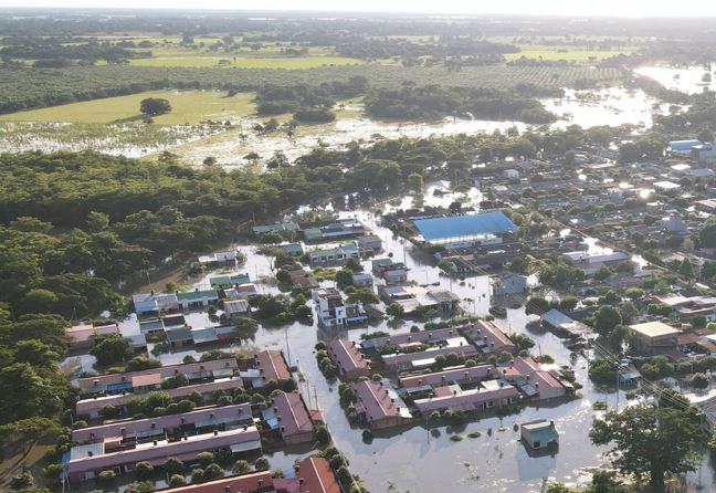 13 mil hectáreas de arroz bajo el agua por inundaciones en Casanare 1