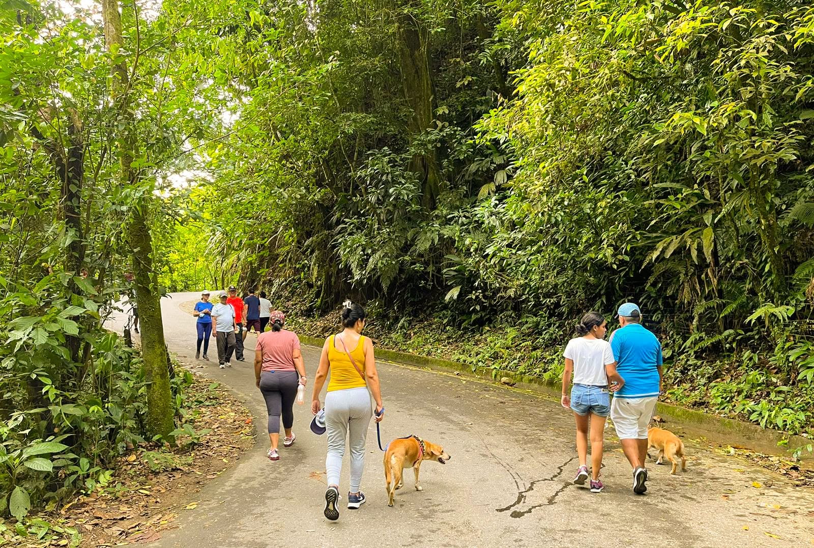 ¿Hasta cuándo? Piden auxilio médico y seguridad para los miles de deportistas en vereda El Carmen