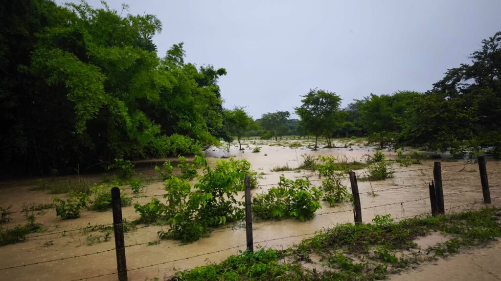 Lluvias provocan desbordamiento del río Tocaría y obligan a evacuar familias en Casanare 2 Lluvias provocan desbordamiento del río Tocaría y obligan a evacuar familias en Casanare 2