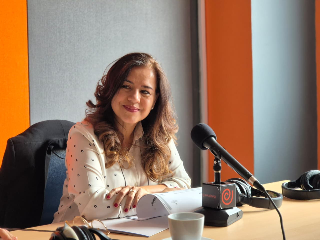 Alejandra Miller se despide de la ARN advirtiendo riesgos sobre el futuro del Acuerdo de Paz | Entrevista 1