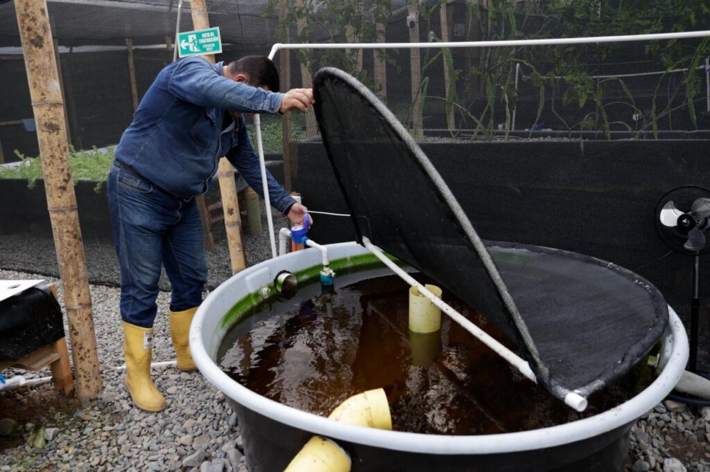 Prueba piloto en el Meta para cultivar alimentos con agua tratada de petróleo y energía solar 2