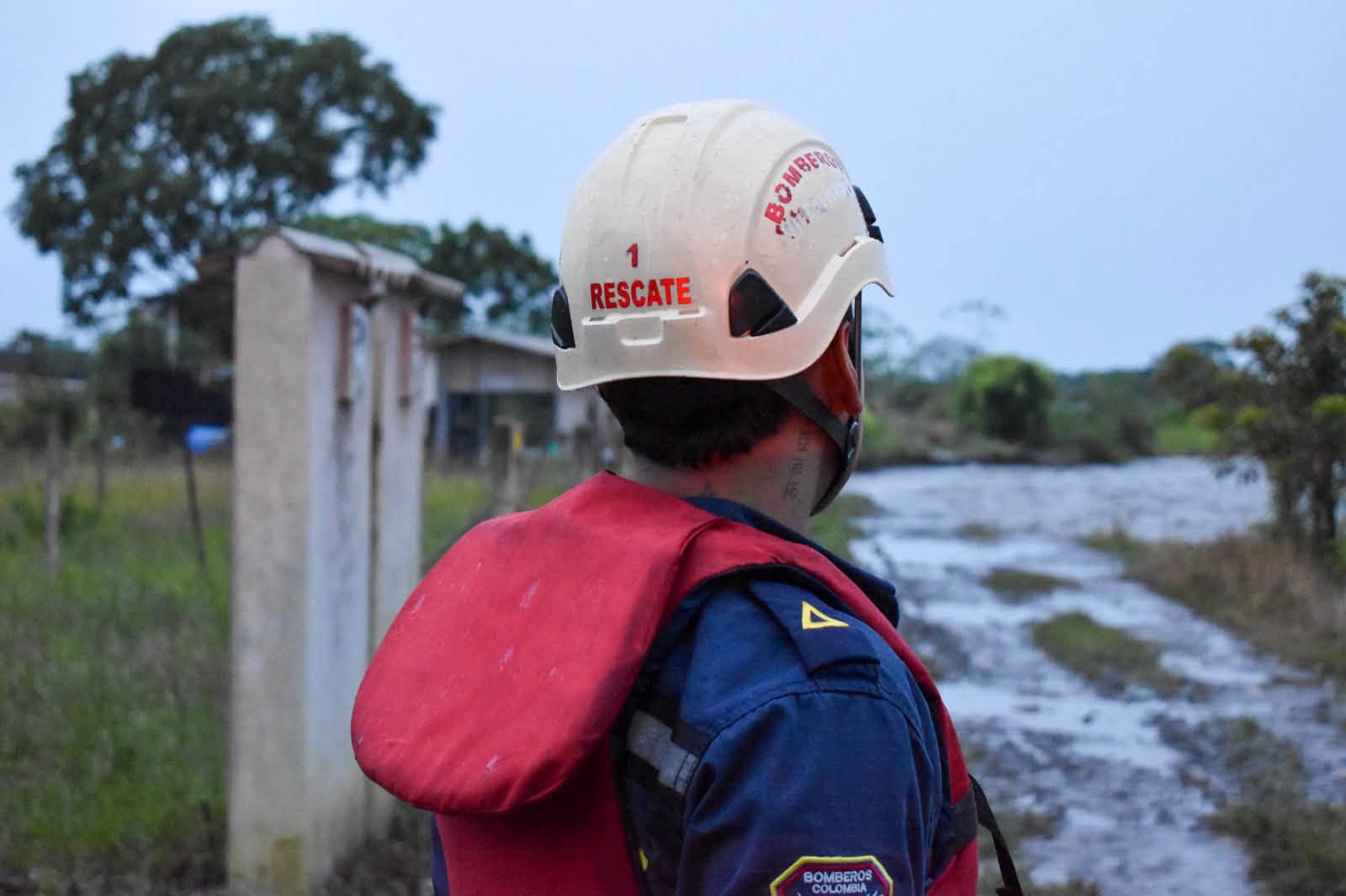 ¿Necesita ayuda? Estas son las líneas que debe conocer ante una emergencia 1