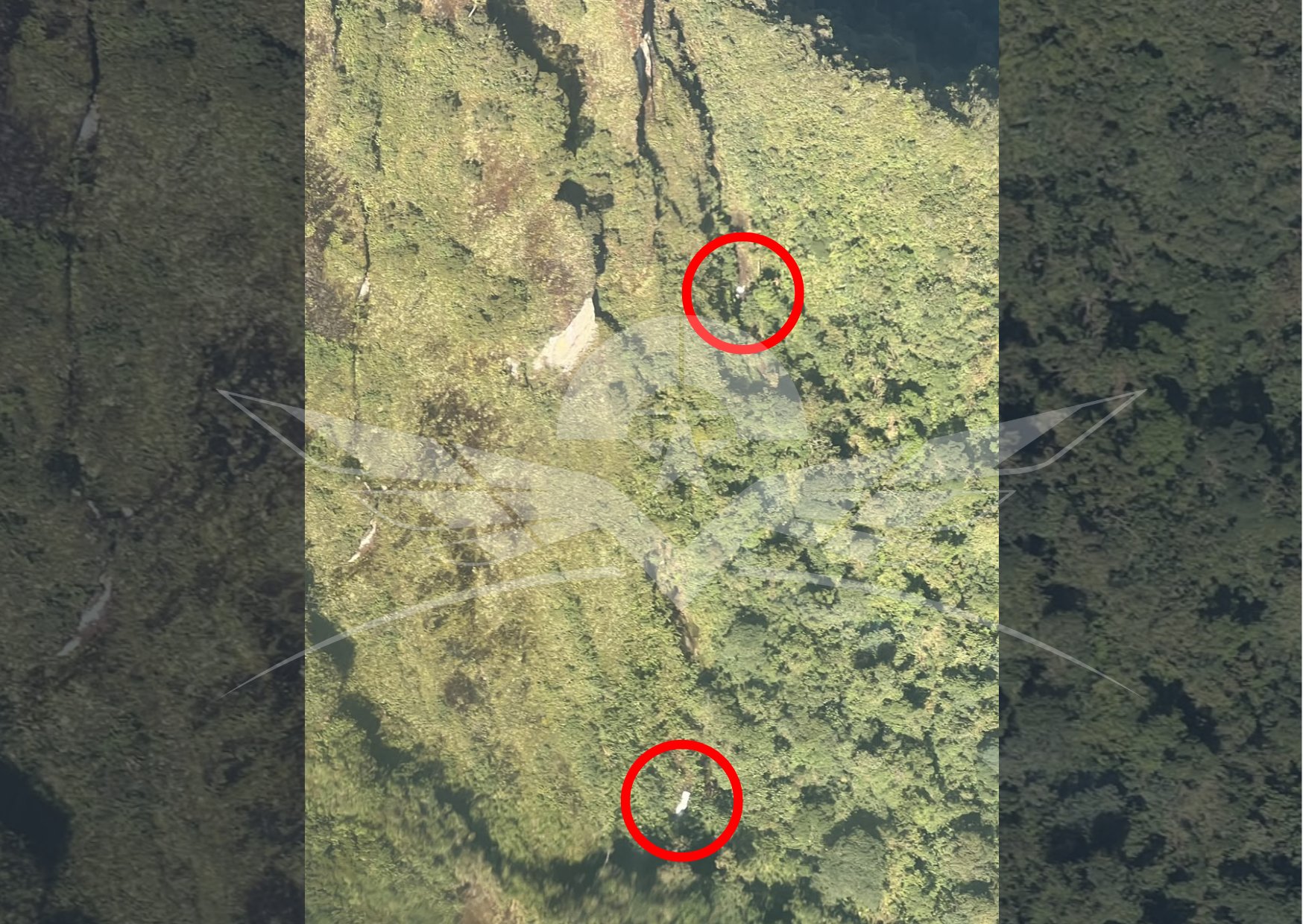Localizan avioneta desaparecida en Chocó 1