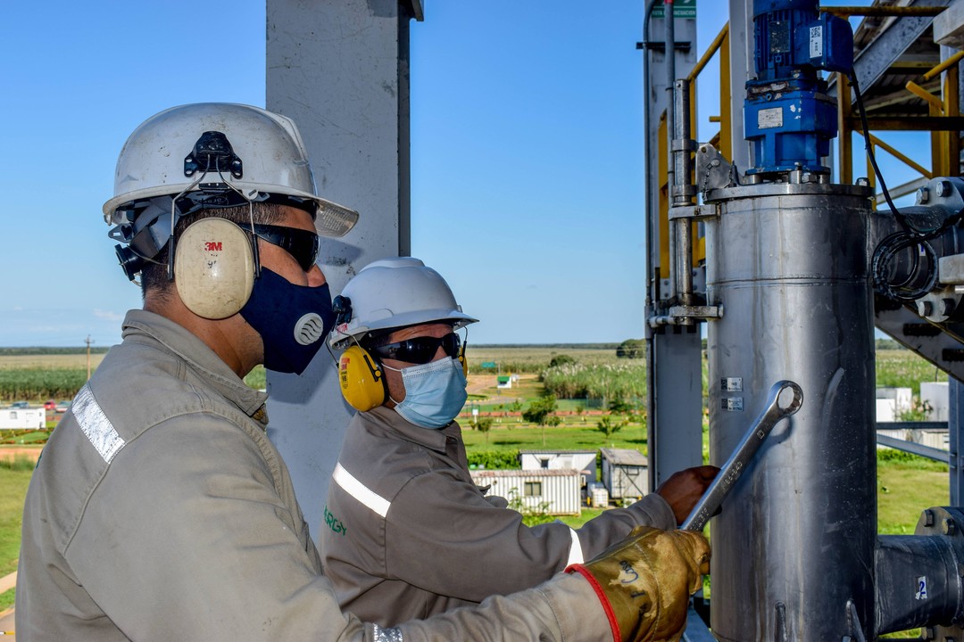 El Meta gana protagonismo en la industria de biocombustibles 1