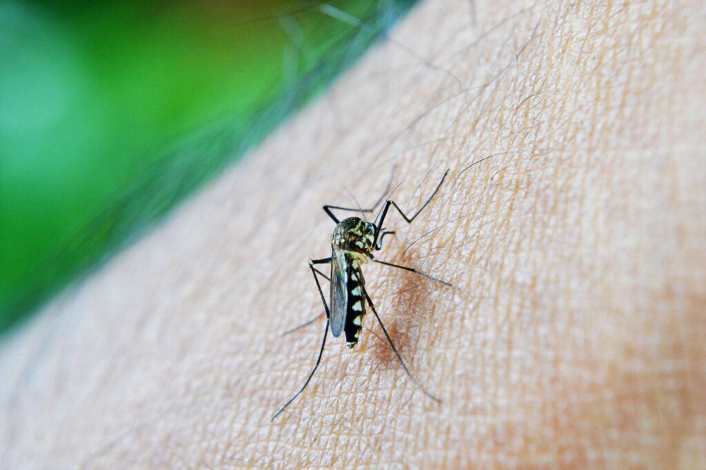 Meta registra más de 12.000 casos de dengue  y es el departamento más afectado en lo corrido de 2026