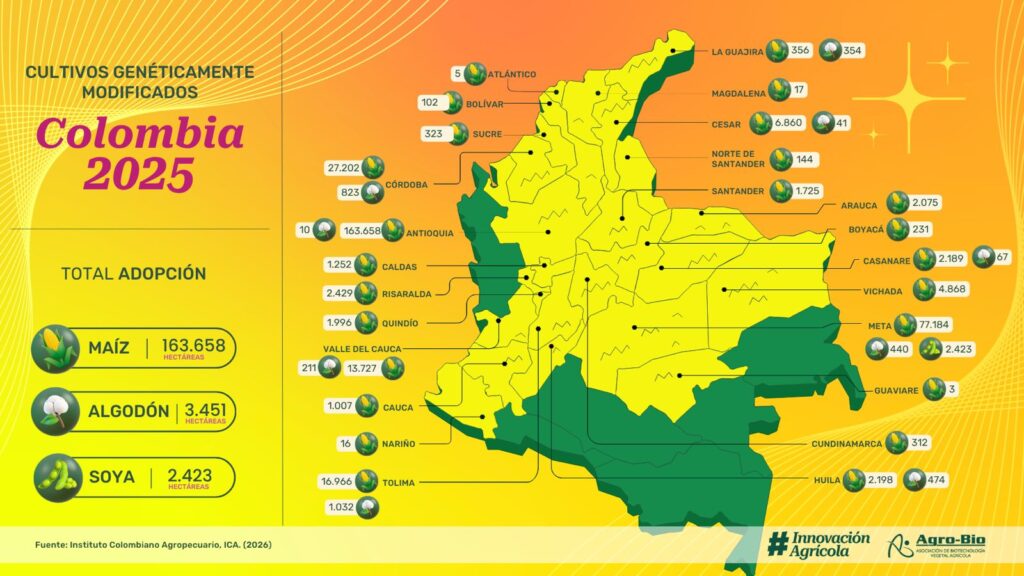 Maíz transgénico en el Meta alcanzó las 77.184 hectáreas 2 Maíz transgénico en el Meta alcanzó las 77.184 hectáreas 2