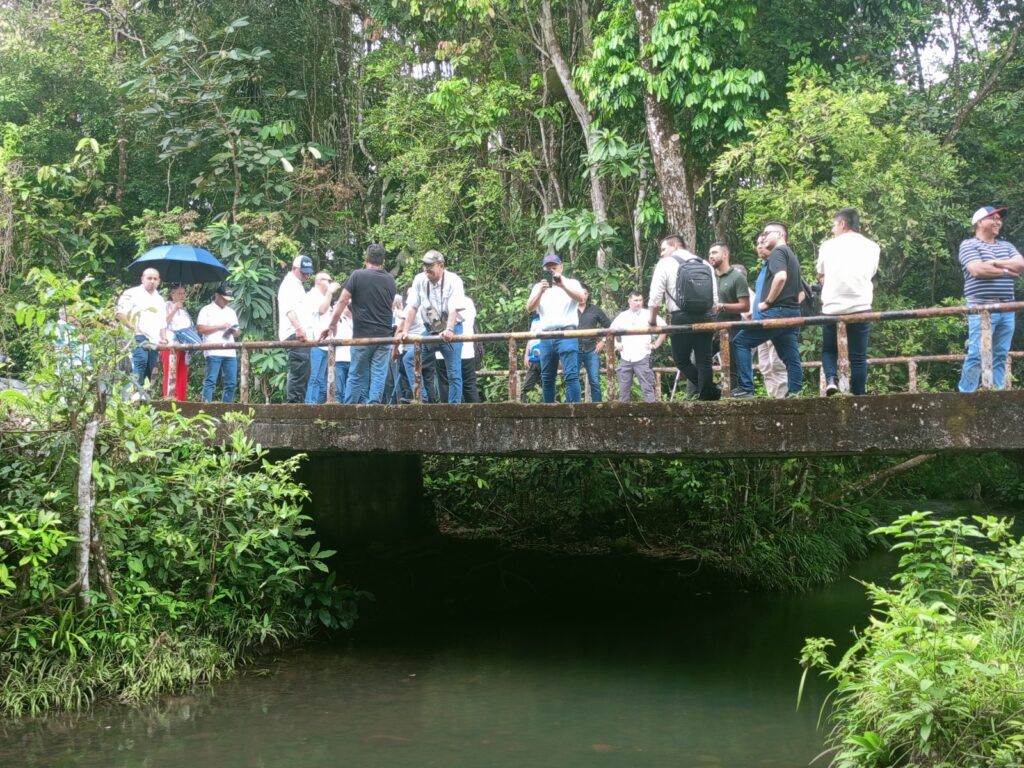 Así será el reemplazo del puente en riesgo de colapso que conecta cinco veredas de Villavicencio 2